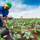 Illustration for article titled White Farmers Sue Federal Government Because Black People Truly Can’t Have Anything